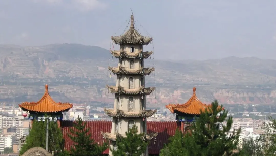 委托招商引資合作丨全力助推甘肅臨洮縣特色富民產(chǎn)業(yè)大發(fā)展！