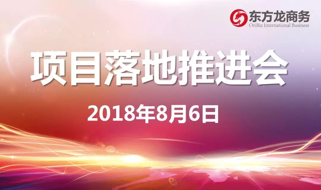 【項目推進】東方龍商務舉行項目落地推進會，協調項目后續考察，制定重點項目落地方案
