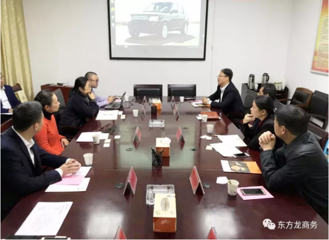 陪同汽車智能系統外資投資選址項目方實地考察江蘇、安徽多家政府園區和地方企業，務實推進項目合作落地