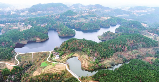 全力助推四川巴中恩陽區委托招商引資，合力打造產業新城