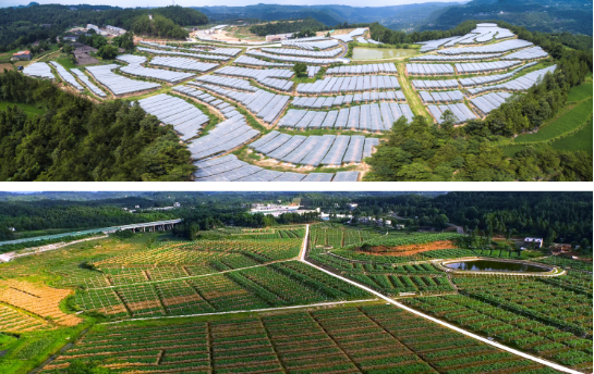 全力助推四川巴中恩陽區委托招商引資，合力打造產業新城