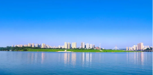 全力助推重慶潼南高新區委托招商引資，大力打造“6+1”產業集群！