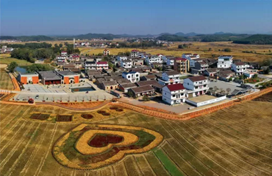 全力助推江西撫州金溪縣委托招商引資，加快建設現代生態產業新城