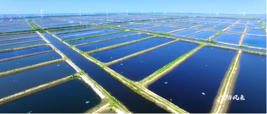集團全力助推南通外向型農業綜合開發區委托招商引資，打造現代化專業食品園區