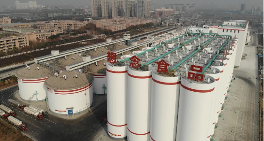 集團助力河南省南陽市鎮平縣委托招商引資，推動縣域經濟大轉型