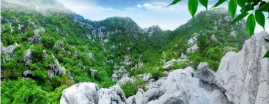 政府委托招商合作丨全力助推浙江衢州常山縣傳統(tǒng)產業(yè)加快升級，新興產業(yè)異軍突起