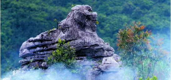 政府委托招商合作丨全力助推浙江衢州常山縣傳統(tǒng)產業(yè)加快升級，新興產業(yè)異軍突起