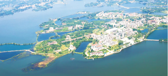 集團全力助推廣東湛江廉江市委托招商引資，圍繞優(yōu)勢產(chǎn)業(yè)補鏈、強鏈、延鏈