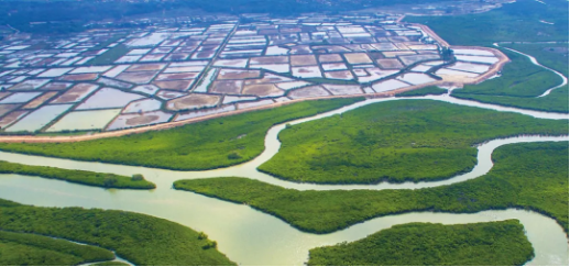 集團全力助推廣東湛江廉江市委托招商引資，圍繞優(yōu)勢產(chǎn)業(yè)補鏈、強鏈、延鏈