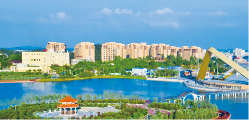 集團全力助推廣東湛江廉江市委托招商引資，圍繞優(yōu)勢產(chǎn)業(yè)補鏈、強鏈、延鏈