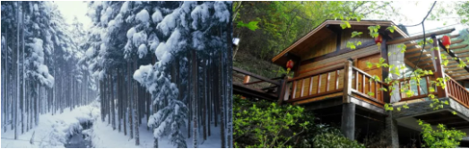 集團助力吉林省吉林高新區(qū)委托招商引資，加速建設(shè)東北振興的高質(zhì)量發(fā)展示范高地
