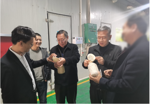 合作邁出堅實一步！集團推進3家優(yōu)質(zhì)投資選址企業(yè)精準(zhǔn)對接地方政府