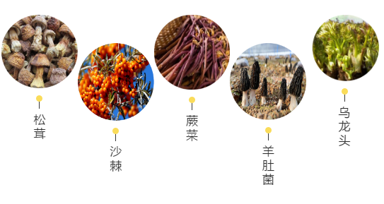 【甘南政府招商推介】立足生態(tài)優(yōu)勢(shì)，推動(dòng)綠色發(fā)展，打造青藏高原上的生態(tài)文明高地