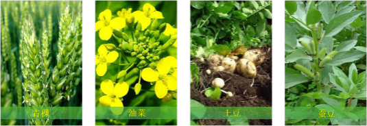 【甘南政府招商推介】立足生態(tài)優(yōu)勢(shì)，推動(dòng)綠色發(fā)展，打造青藏高原上的生態(tài)文明高地