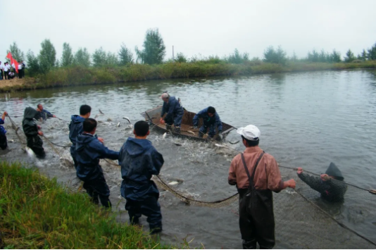 集團(tuán)全力助推黑龍江大慶肇源縣委托招商引資，挖掘多元化產(chǎn)業(yè)融合發(fā)展新動能