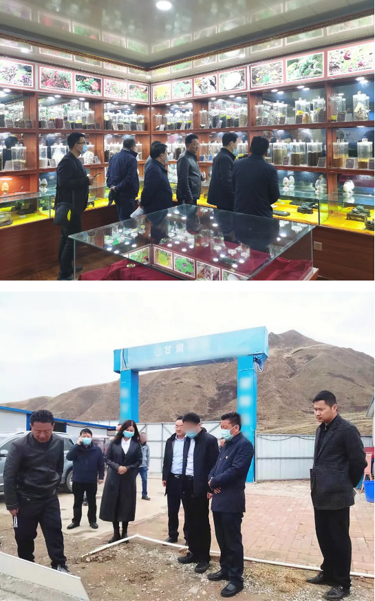 精準招商再取實效！甘肅某地方政府與中藥材種植深加工投資選址項目方成功簽訂投資協議