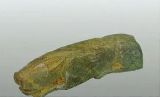 集團全力助推浙江省麗水市青田縣委托招商引資，以產業集聚厚植發展優勢！