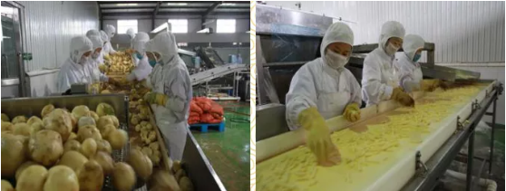 集團(tuán)全力助推黑龍江省依安縣委托招商引資，發(fā)揮產(chǎn)業(yè)支撐帶動(dòng)作用
