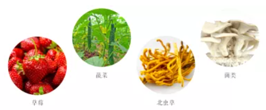 集團全力助推遼寧省燈塔市委托招商引資，以“特色小鎮”打造全國產業集聚區