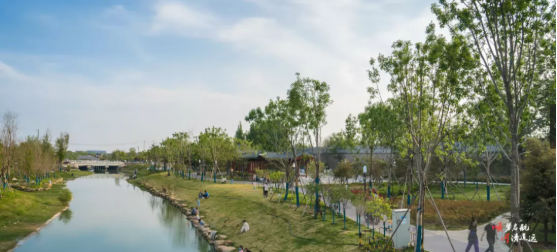 集團(tuán)全力助推河南開封順河回族區(qū)委托招商引資，突出特色優(yōu)勢，強(qiáng)化精準(zhǔn)賦能，提升經(jīng)濟(jì)活力