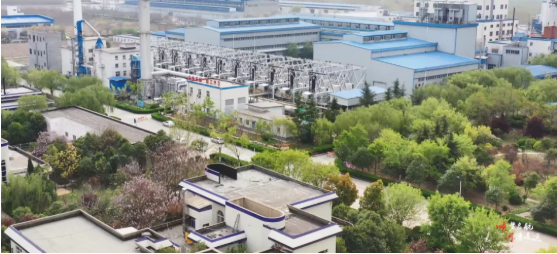 集團(tuán)全力助推河南開封順河回族區(qū)委托招商引資，突出特色優(yōu)勢，強(qiáng)化精準(zhǔn)賦能，提升經(jīng)濟(jì)活力