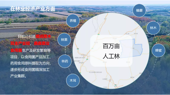 集團(tuán)全力助推黑龍江齊齊哈爾拜泉縣委托招商引資，立足資源優(yōu)勢，開辟產(chǎn)業(yè)集群高質(zhì)量發(fā)展新高地