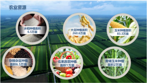 集團(tuán)全力助推黑龍江齊齊哈爾拜泉縣委托招商引資，立足資源優(yōu)勢，開辟產(chǎn)業(yè)集群高質(zhì)量發(fā)展新高地