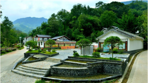 集團(tuán)全力助推甘肅隴南康縣委托招商引資，以綠色發(fā)展推動(dòng)鄉(xiāng)村振興