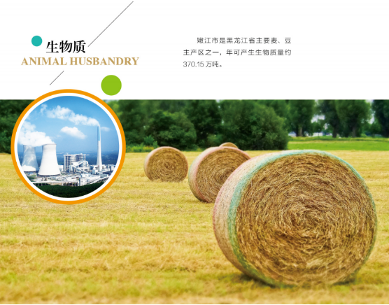 集團全力助推黑龍江嫩江市委托招商引資，以6大優勢助推地方產業高質量發展
