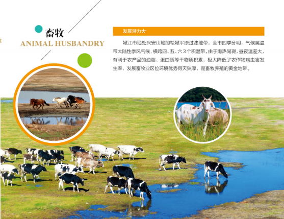 集團全力助推黑龍江嫩江市委托招商引資，以6大優勢助推地方產業高質量發展