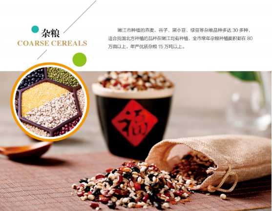 集團全力助推黑龍江嫩江市委托招商引資，以6大優勢助推地方產業高質量發展