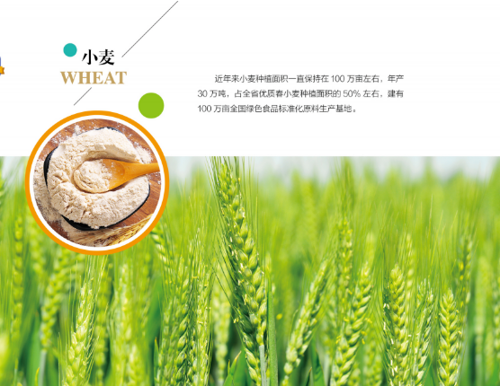 集團全力助推黑龍江嫩江市委托招商引資，以6大優勢助推地方產業高質量發展