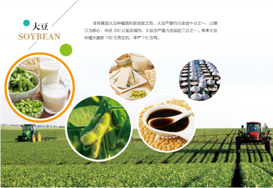 集團全力助推黑龍江嫩江市委托招商引資，以6大優勢助推地方產業高質量發展