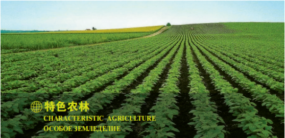集團(tuán)全力助推黑龍江大興安嶺委托招商引資，聚力將“冷資源”轉(zhuǎn)化為“熱經(jīng)濟(jì)”！