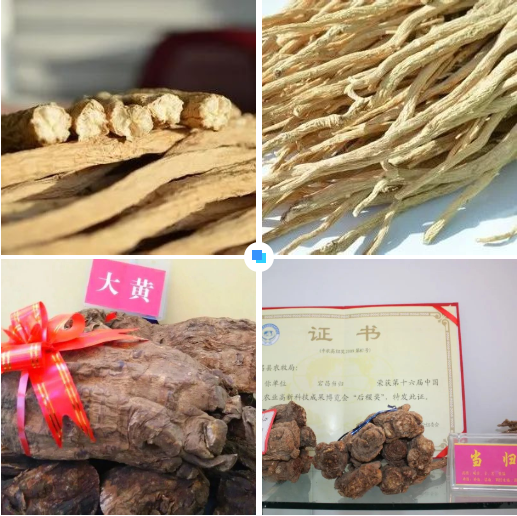 集團(tuán)全力助推甘肅隴南宕昌縣委托招商引資，以特色優(yōu)勢資源引領(lǐng)，培育綠色產(chǎn)業(yè)高質(zhì)量發(fā)展！