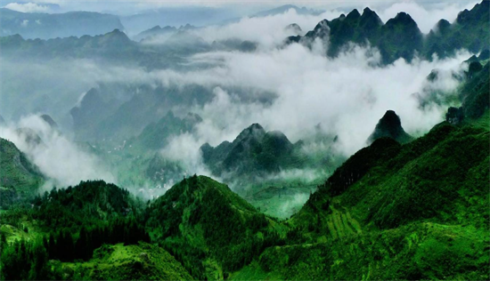 集團(tuán)全力助推甘肅隴南武都區(qū)委托招商引資，將地域資源優(yōu)勢轉(zhuǎn)化為經(jīng)濟(jì)發(fā)展新動能