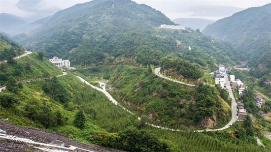 集團(tuán)全力助推甘肅隴南武都區(qū)委托招商引資，將地域資源優(yōu)勢轉(zhuǎn)化為經(jīng)濟(jì)發(fā)展新動能