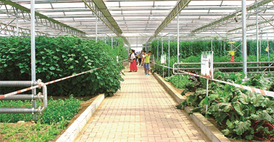 集團全力助推湖南吉首市委托招商招商引資，打造產業發展新地標