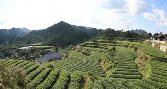 集團全力助推湖南吉首市委托招商招商引資，打造產業發展新地標