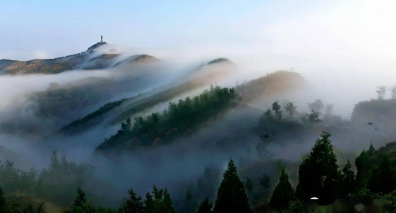集團全力助推陜西榆林子洲縣委托招商引資，打造特色產(chǎn)業(yè)集聚地