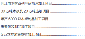 集團全力助推黑龍江省同江市委托招商引資，充分挖掘開發潛能，再次綻放邊陲魅力