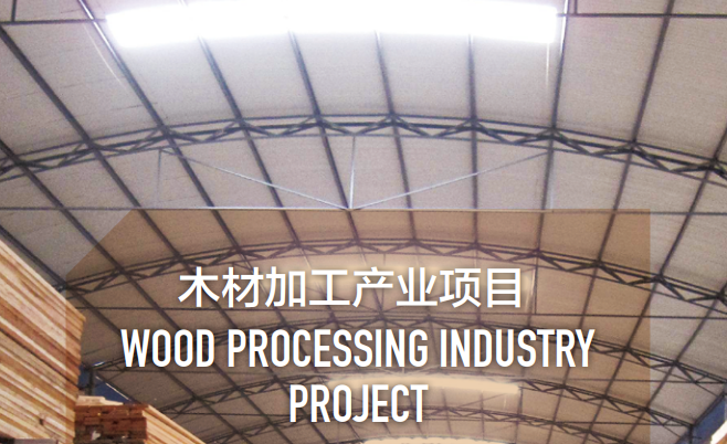 集團全力助推黑龍江省同江市委托招商引資，充分挖掘開發潛能，再次綻放邊陲魅力