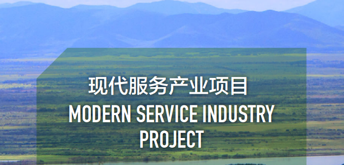 集團全力助推黑龍江省同江市委托招商引資，充分挖掘開發潛能，再次綻放邊陲魅力