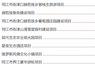 集團全力助推黑龍江省同江市委托招商引資，充分挖掘開發潛能，再次綻放邊陲魅力