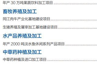集團全力助推黑龍江省同江市委托招商引資，充分挖掘開發潛能，再次綻放邊陲魅力