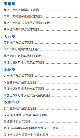 集團全力助推黑龍江省同江市委托招商引資，充分挖掘開發潛能，再次綻放邊陲魅力