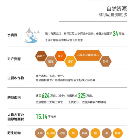 集團全力助推黑龍江省同江市委托招商引資，充分挖掘開發潛能，再次綻放邊陲魅力