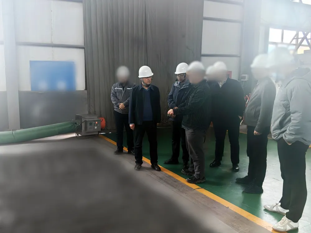 高新技術(shù)企業(yè)，超百項專利技術(shù)！甘肅某地方政府實地對接復(fù)雜難選金屬礦高效開發(fā)利用投資選址項目