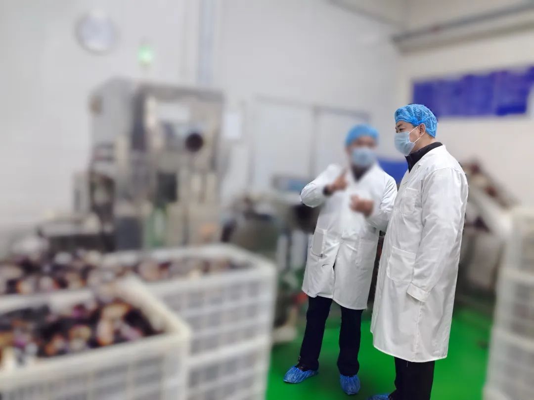 20年老牌企業，多家知名連鎖品牌合作商！四川某地方政府實地對接品牌休閑食品擴建投資選址項目